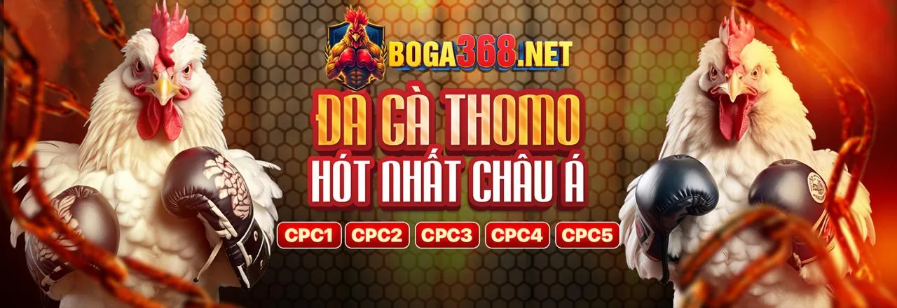 Đá Gà Trực Tuyến 789f19
